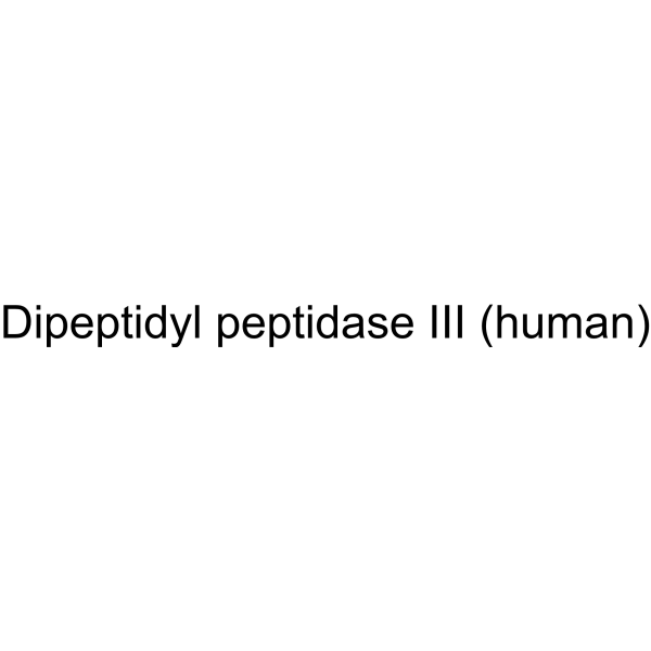 Dipeptidyl peptidase III (human) 1609146-78-2